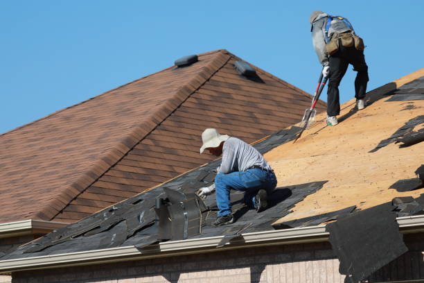 Roof Maintenance