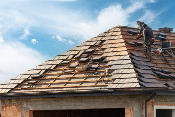 Best Sheet Metal Roofing  in Palisade, CO